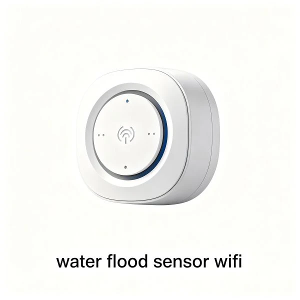 Basement Water Sensor Wifi